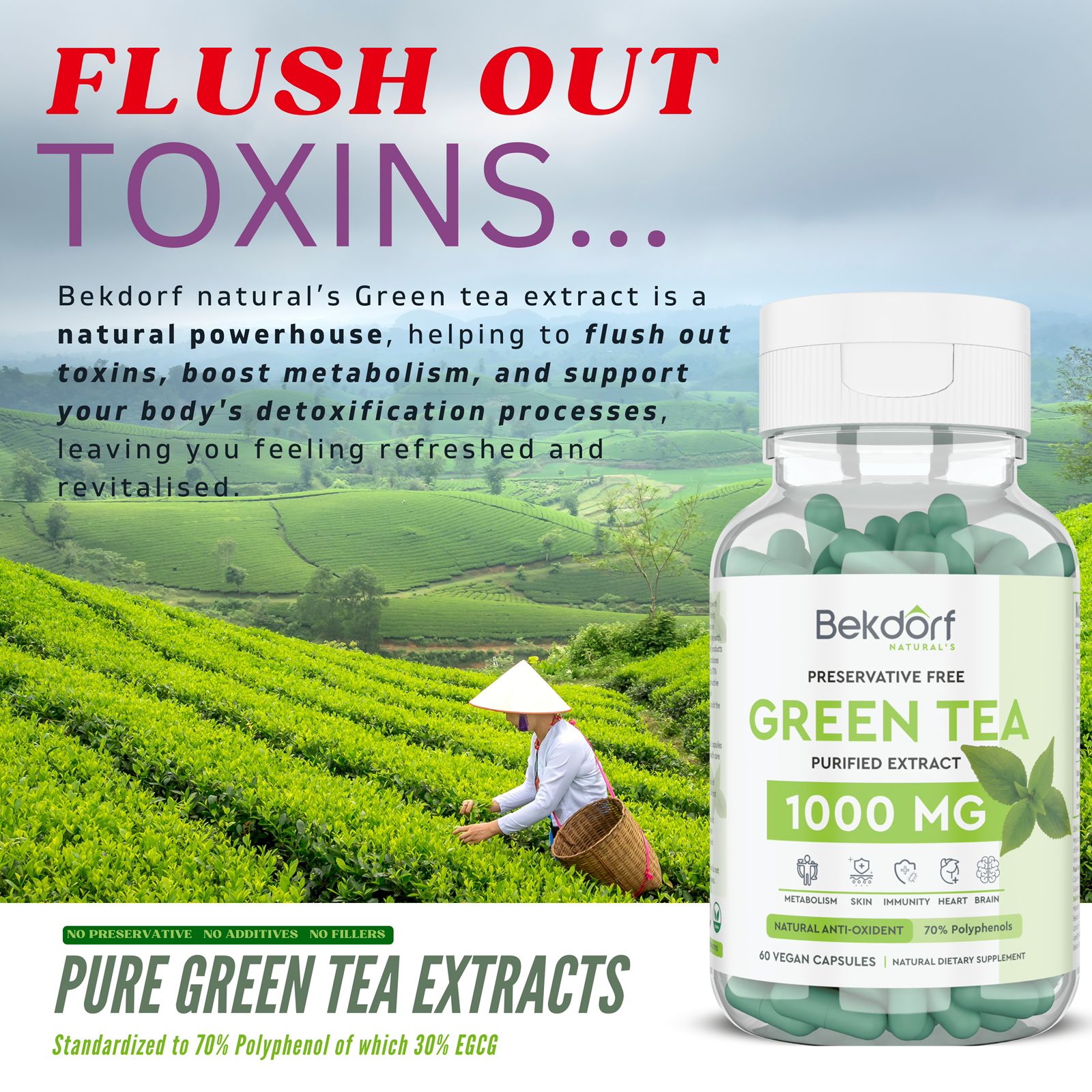 Green Tea (Standardised To 70% Polyphenol Of Which 30% Egcg), 60 Vegan Capsules - Image 4